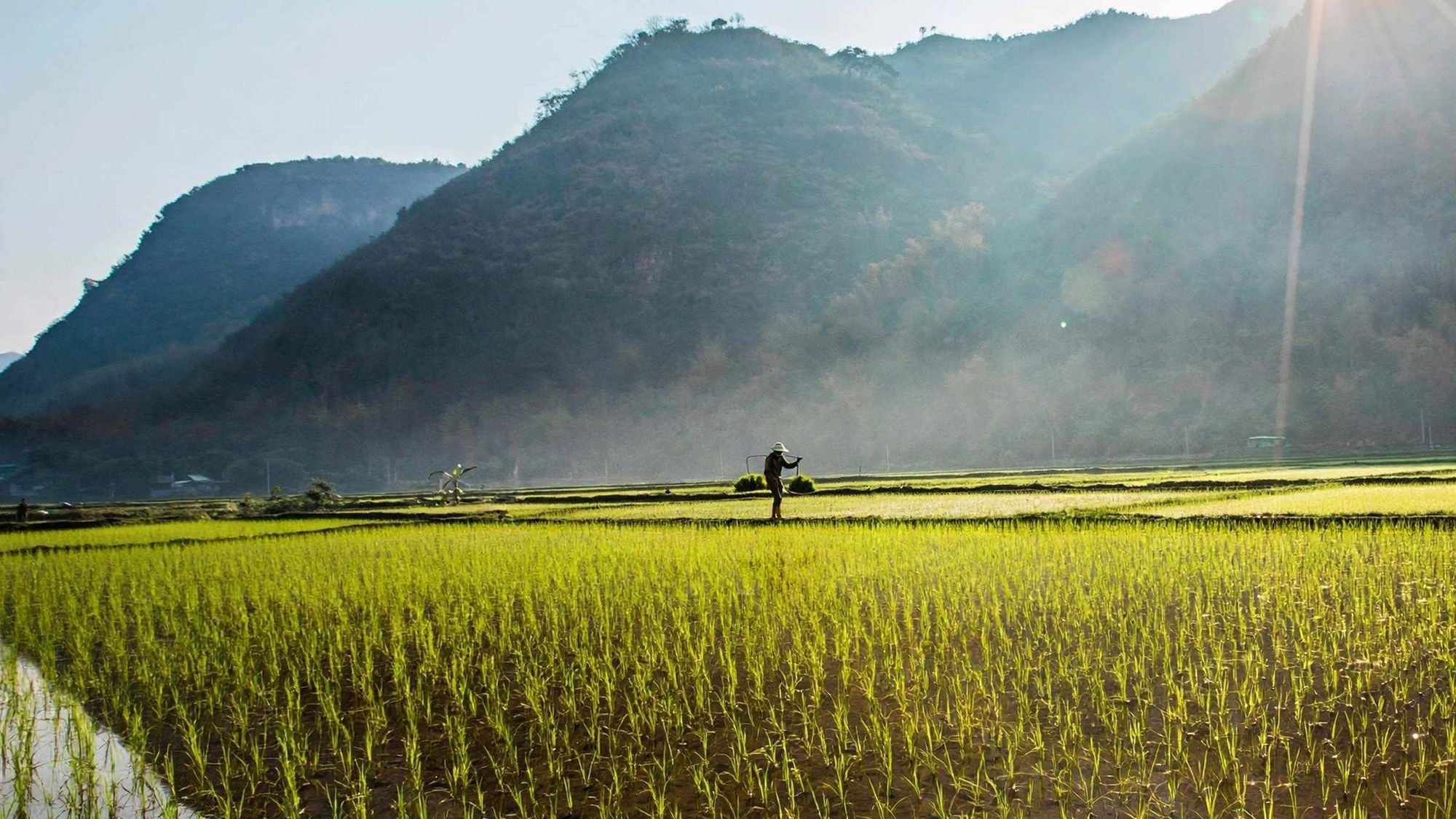 Terraced fields in the highlands of Southeast Asia